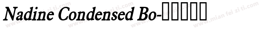 Nadine Condensed Bo字体转换